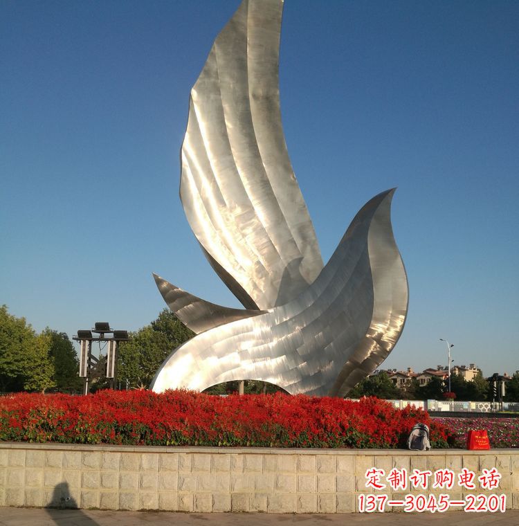 昆明“鸽子之恋”——让爱飞翔