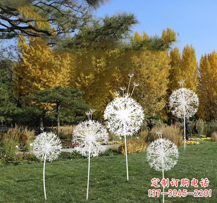 昆明不锈钢蒲公英景观雕塑艺术与美的完美结合