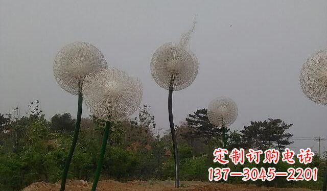 昆明蒲公英的绚丽多彩