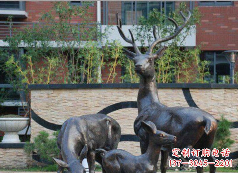 昆明古雅优雅的梅花鹿铜雕