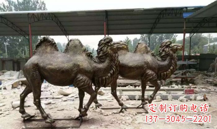 昆明典雅优美的骆驼铜雕