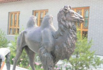 昆明精美的骆驼铜雕，提升您的公园气质