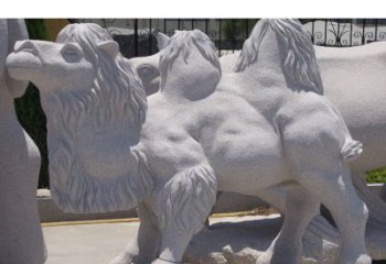 昆明艺术珍品—骆驼石雕
